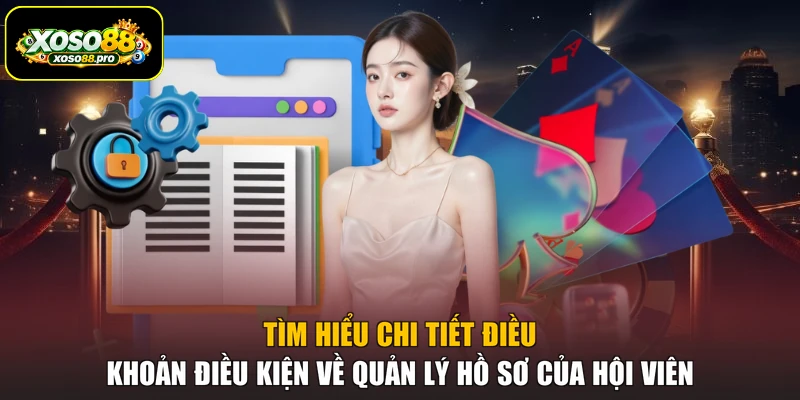 Tìm hiểu chi tiết điều khoản điều kiện về quản lý hồ sơ của hội viên